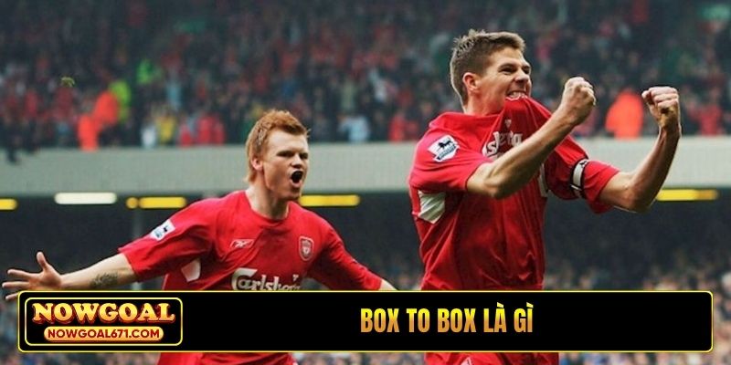 box to box là gì