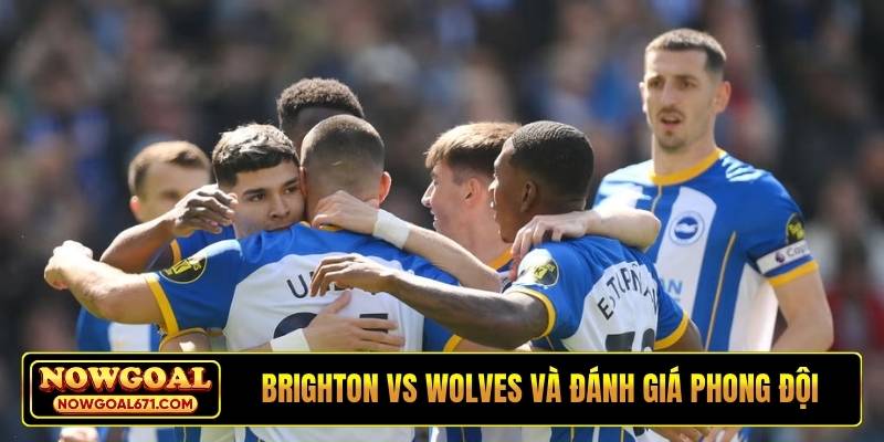 Soi kèo Brighton vs Wolves và đánh giá phong độ