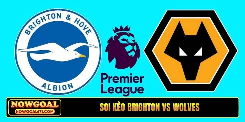 Soi kèo Brighton vs Wolves, 21h00, 09/05, EPL vòng đấu 36